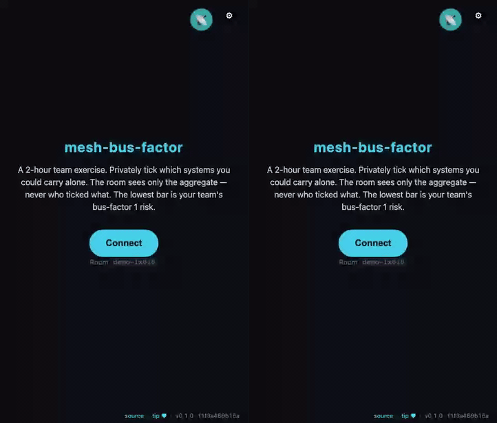 mesh-bus-factor demo