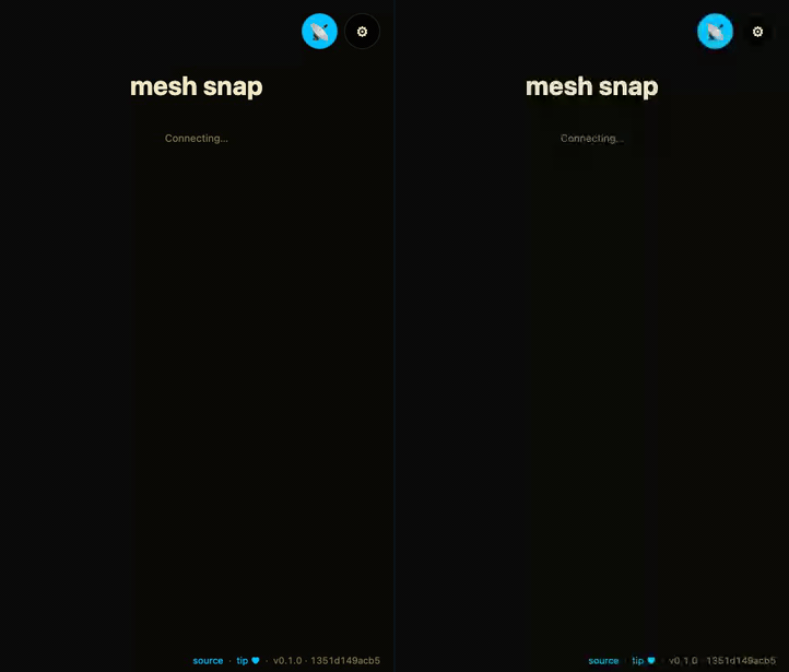 mesh-snap demo